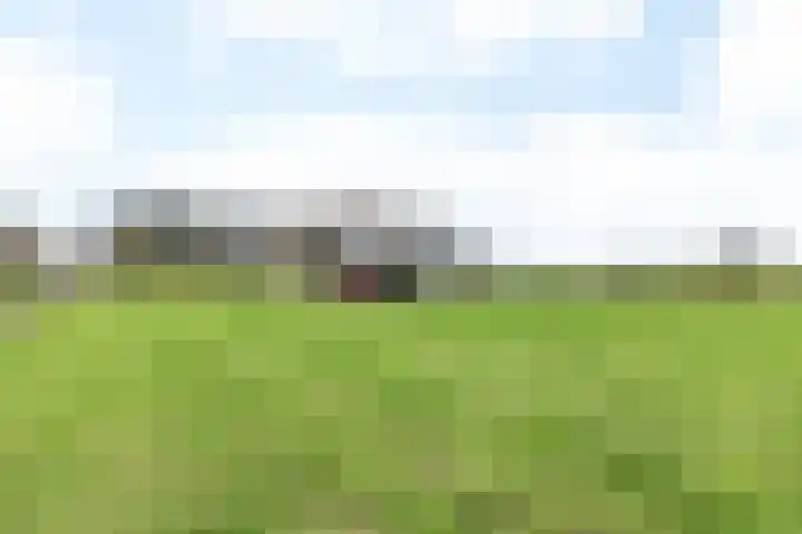 Baakhoverweg 4 Susteren thumbnail 27