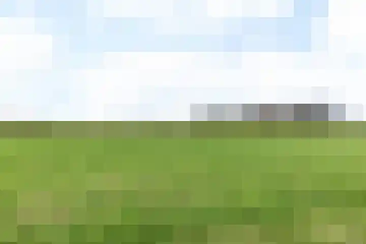 Baakhoverweg 4 Susteren thumbnail 35