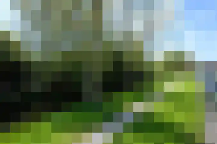 Baalder 29 Drachten thumbnail 47