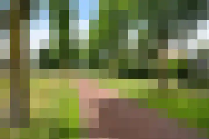 Baalder 33 Heerenveen thumbnail 10