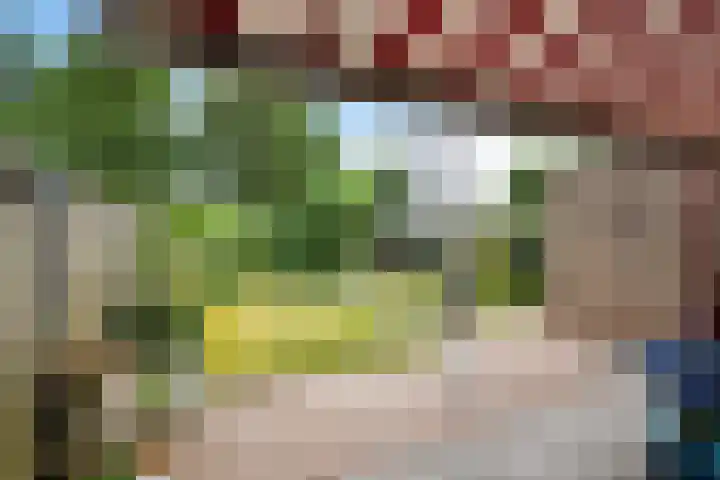 Baalder 33 Heerenveen thumbnail 32