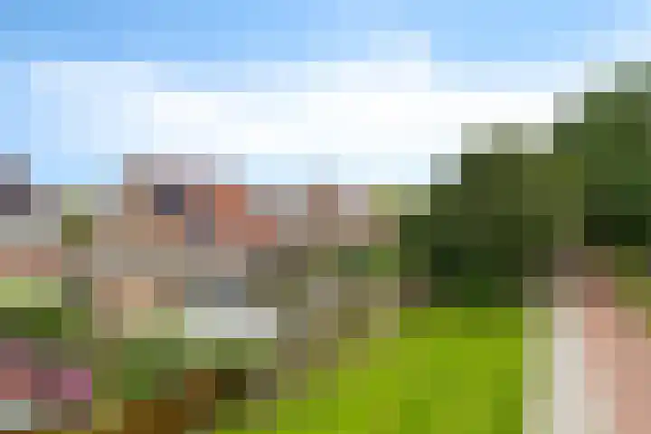 Baalder 33 Heerenveen thumbnail 37