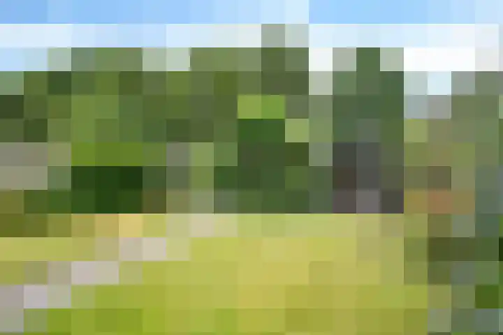 Baalder 33 Heerenveen thumbnail 5