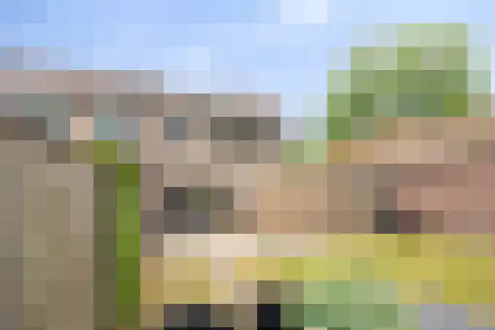 Baalder-Esch 113 Hardenberg thumbnail 31