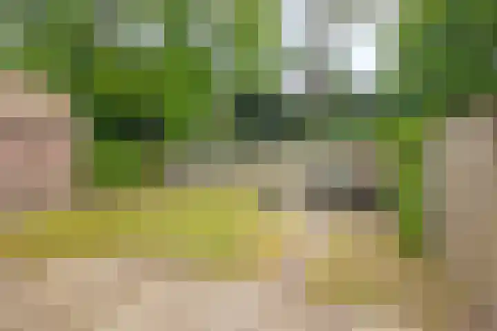 Baalder-Esch 113 Hardenberg thumbnail 33