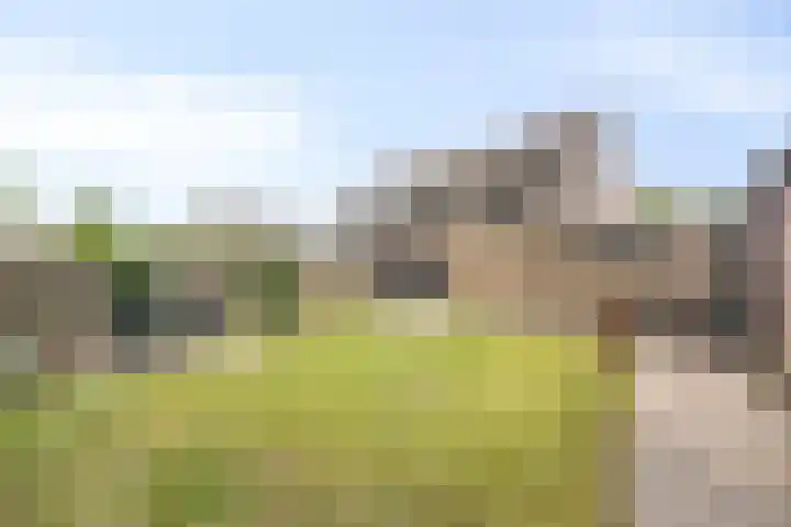 Baalder-Esch 113 Hardenberg thumbnail 35