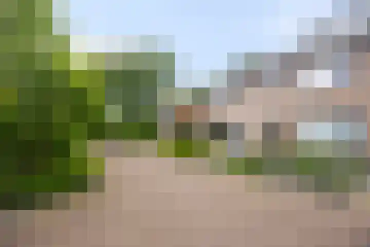 Baalder-Esch 113 Hardenberg thumbnail 37