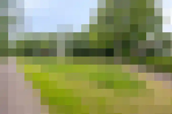 Baalder-Esch 113 Hardenberg thumbnail 38