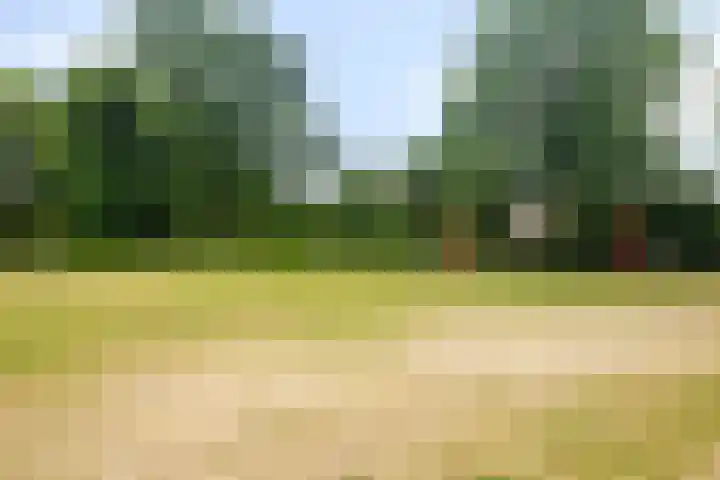 Baalder-Esch 113 Hardenberg thumbnail 39