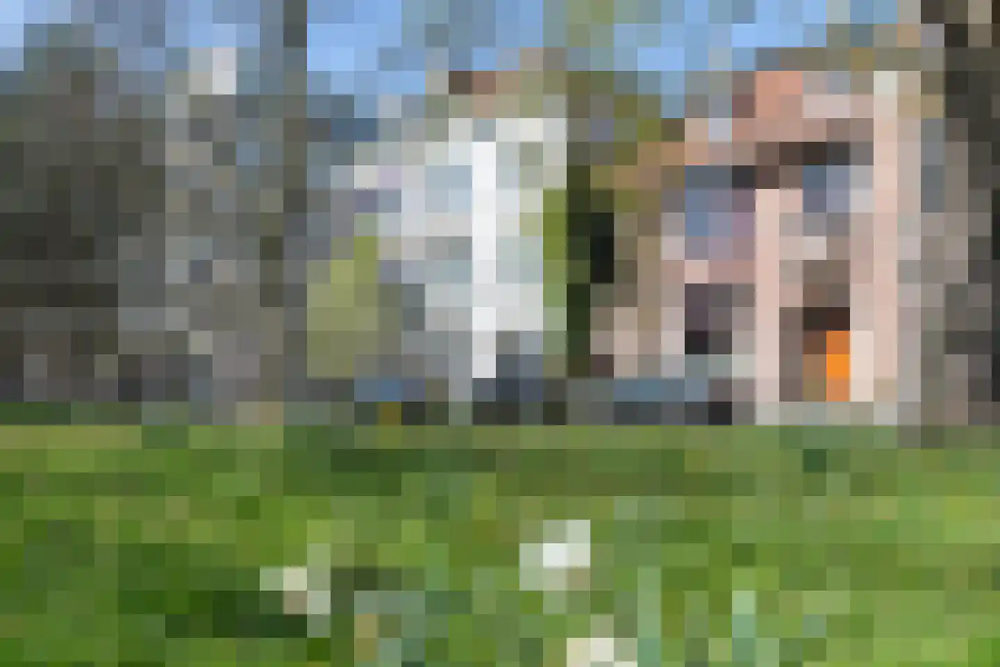 Baan 17 Haarlem thumbnail 11
