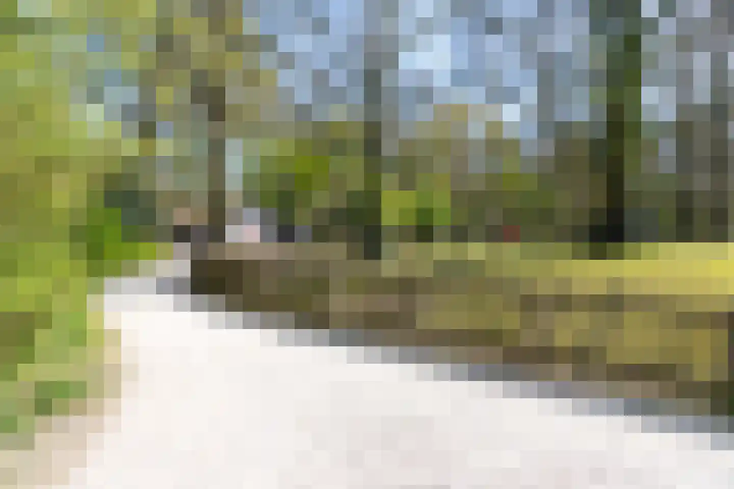 Baan 17 Haarlem thumbnail 21