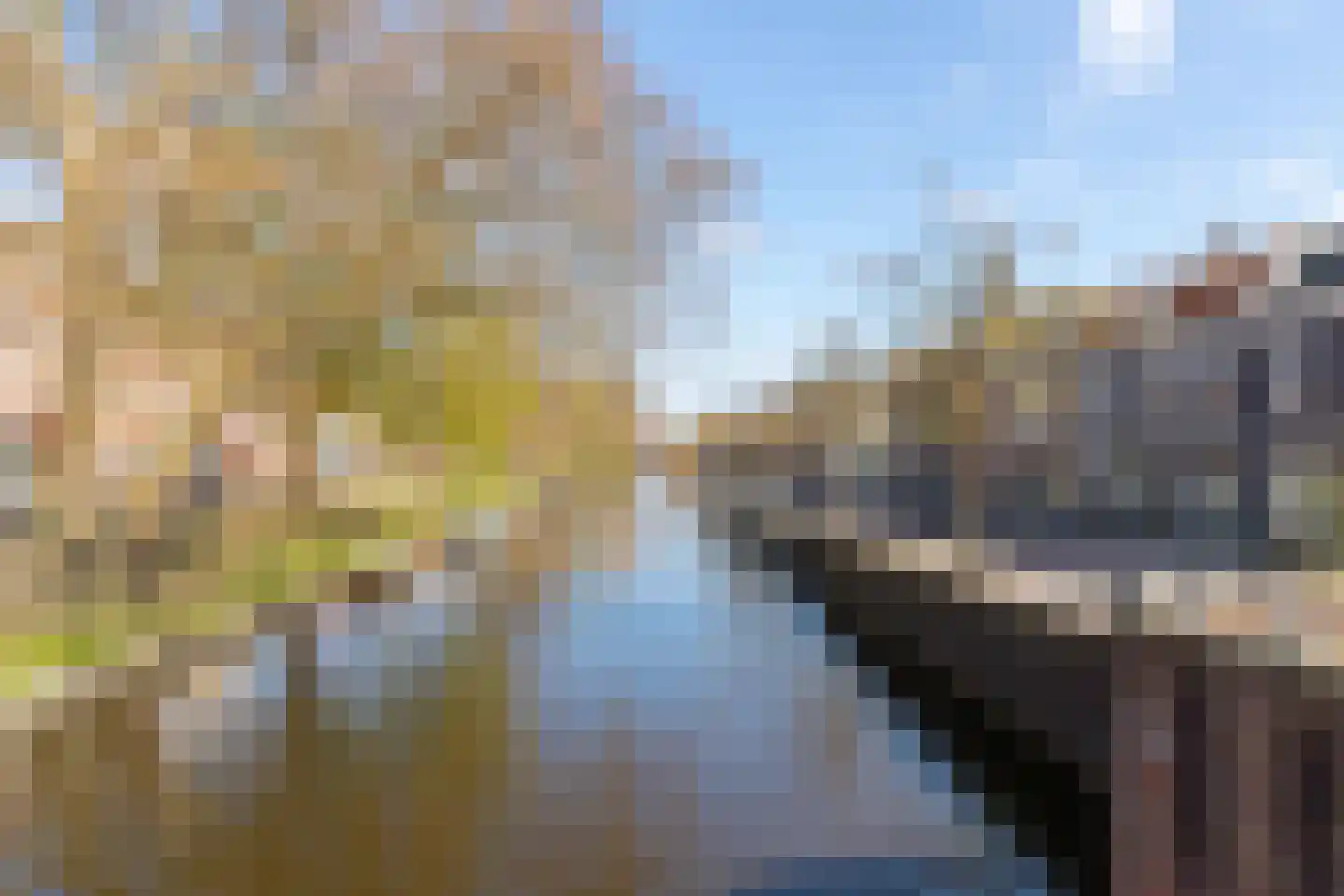 Baan 17 Haarlem thumbnail 31