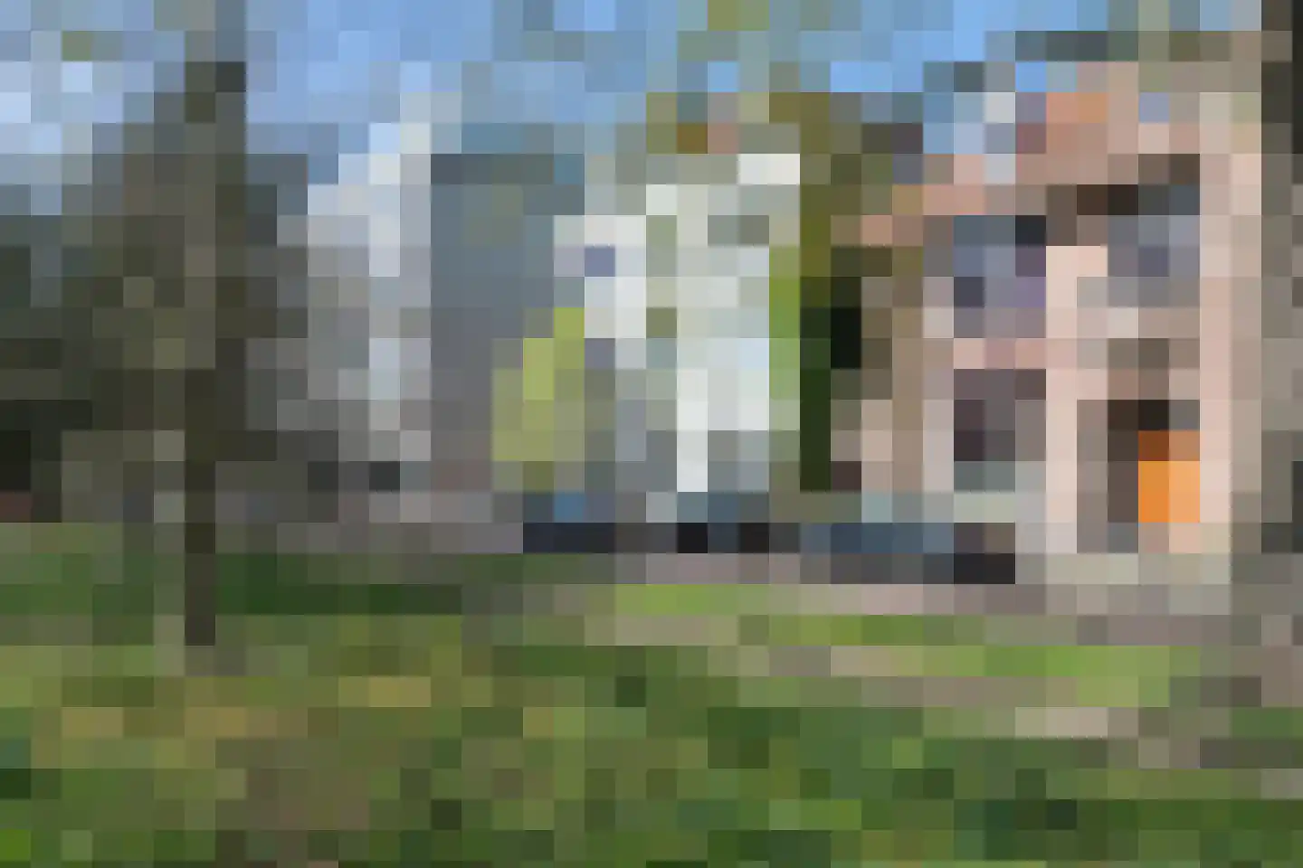 Baan 17 Haarlem thumbnail 9
