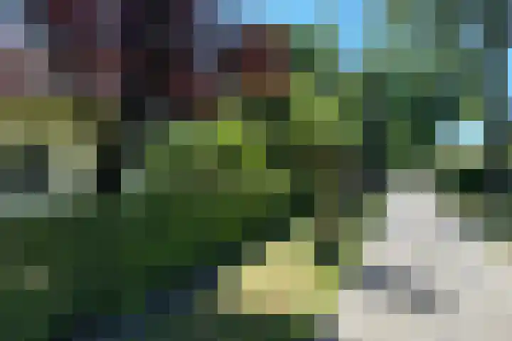Baan 34 E Rotterdam thumbnail 19
