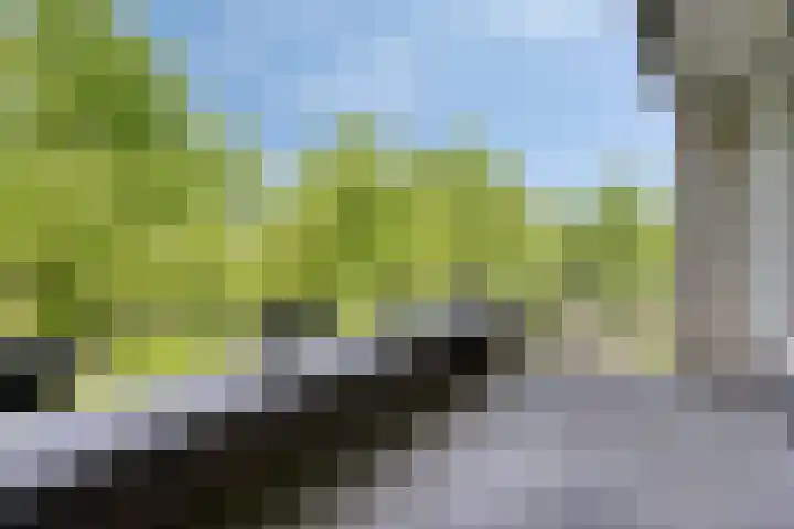 Baan 34 E Rotterdam thumbnail 23