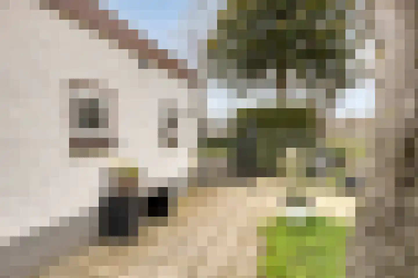 Baan 38 Kaatsheuvel thumbnail 40