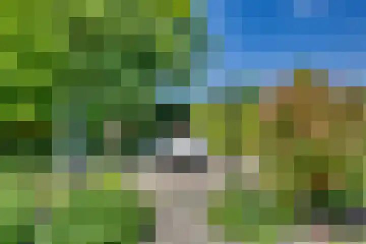 Baan 40 IJsselmuiden thumbnail 21
