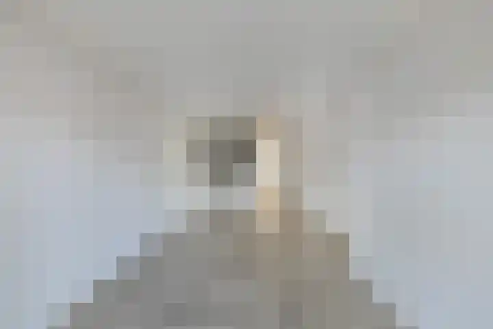Baan 49 Ens thumbnail 15