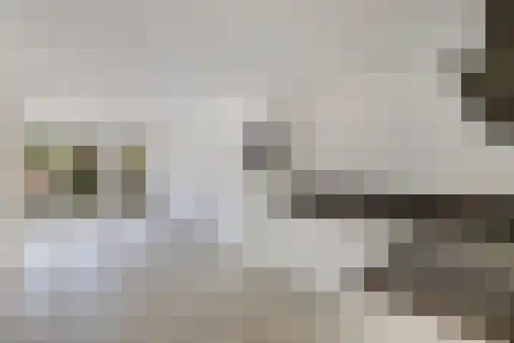Baan 49 Ens thumbnail 21