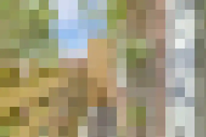 Baan 49 Ens thumbnail 27