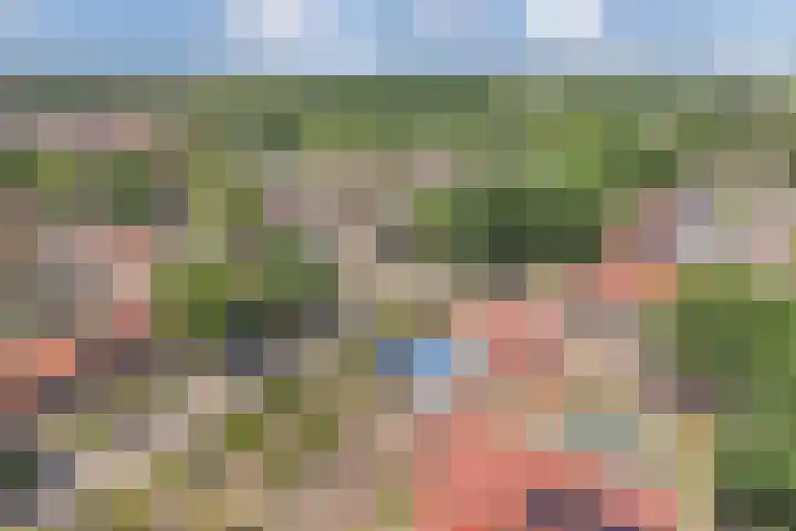 Baan 49 Ens thumbnail 33