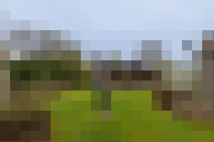 Baan 52 IJsselmuiden thumbnail 25