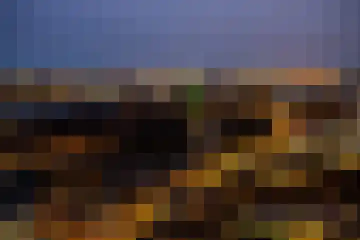 Baan 60 W Rotterdam thumbnail 38