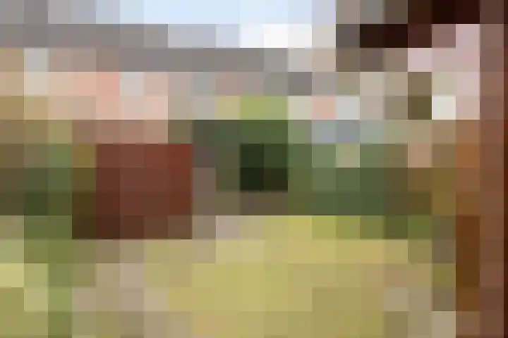 Baanderheugte 46 Assen thumbnail 27