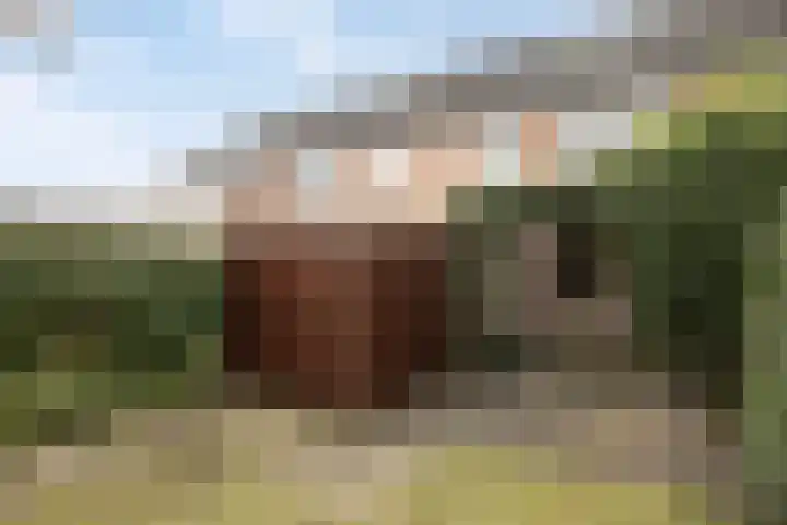 Baanderheugte 46 Assen thumbnail 28