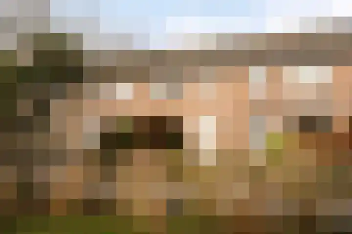 Baanderheugte 46 Assen thumbnail 31