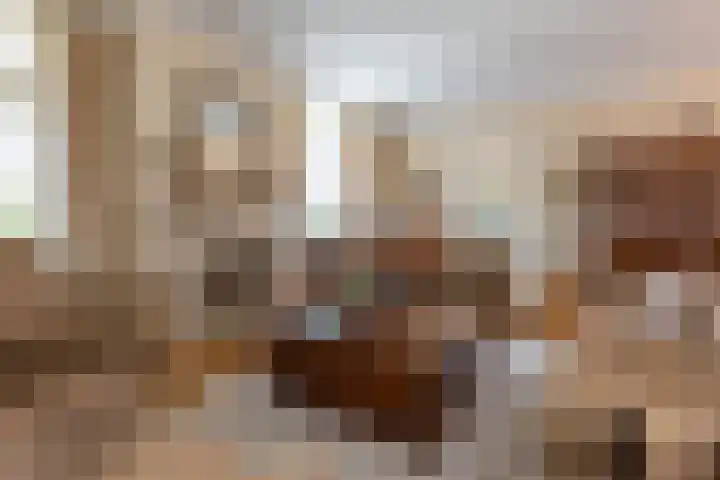 Baandert 2 Sittard thumbnail 11