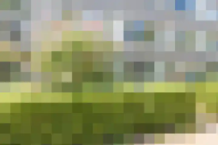 Baandert 2 Sittard thumbnail 12