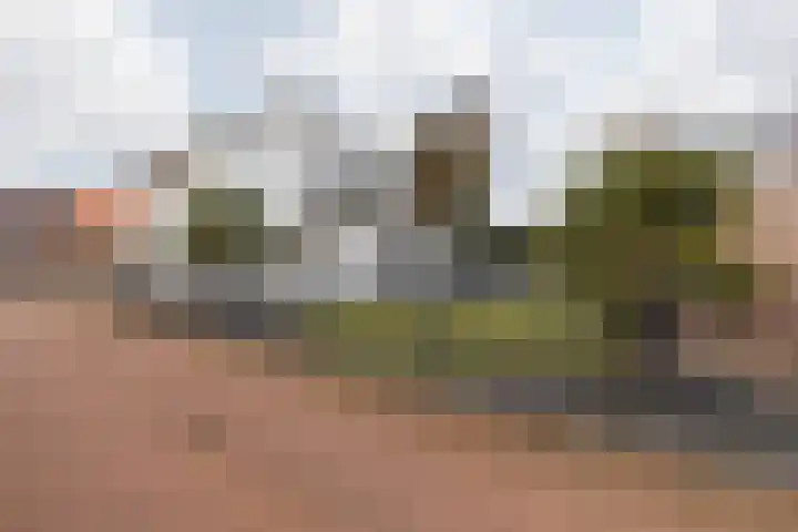 Baandert 2 Sittard thumbnail 13