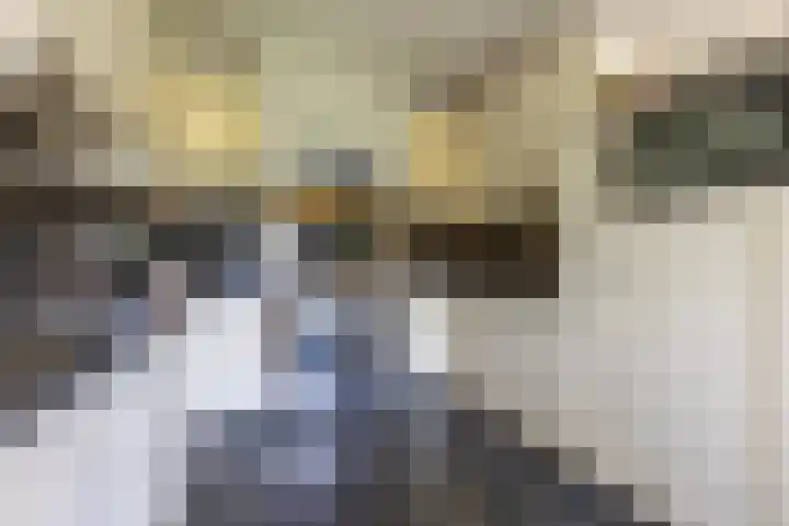 Baandert 2 Sittard thumbnail 18