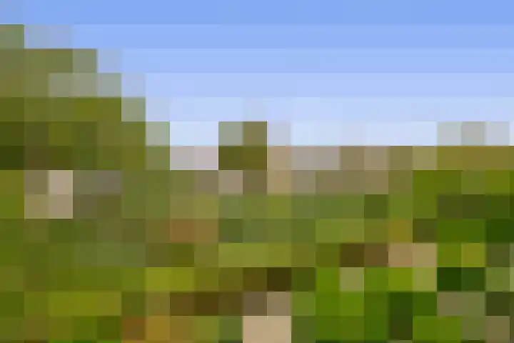 Baandert 2 Sittard foto 2