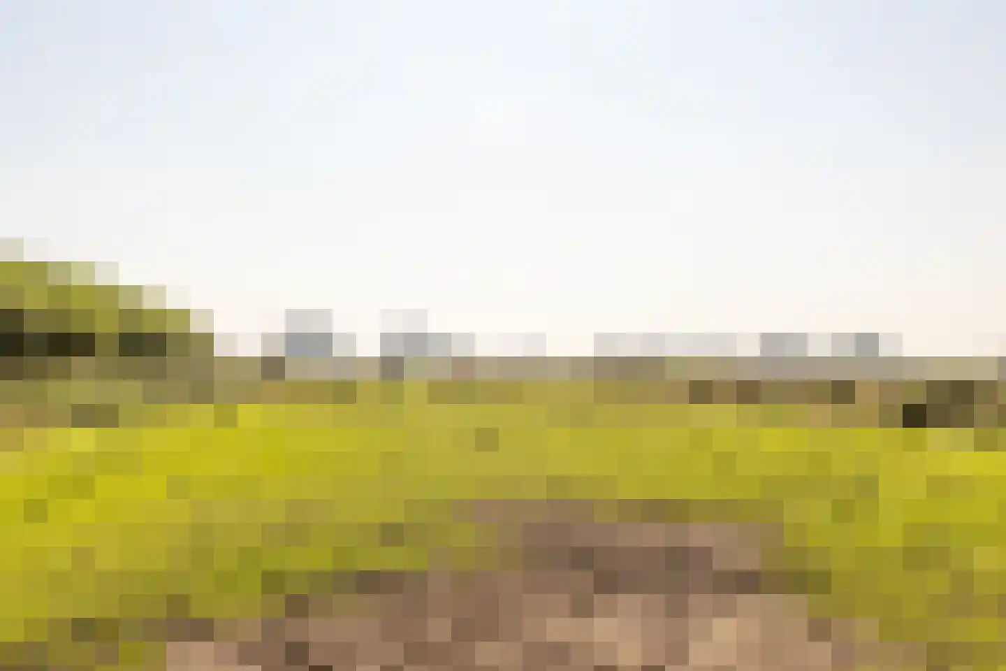 Baandert 2 Sittard thumbnail 23