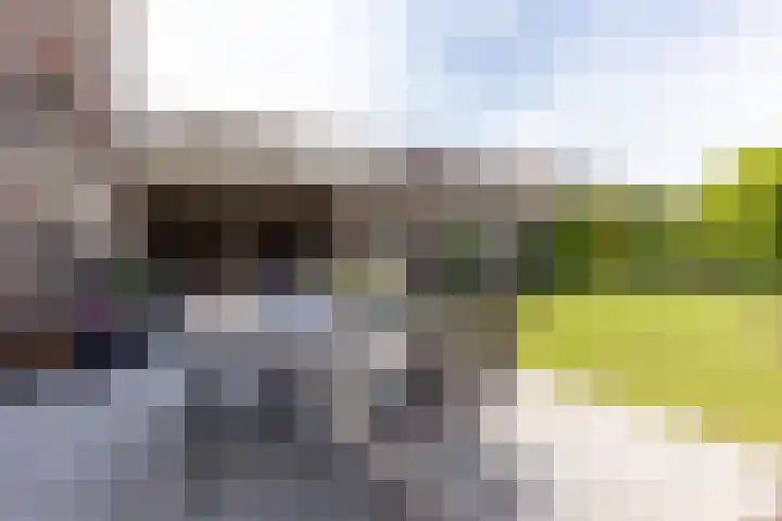 Baandert 2 Sittard thumbnail 28