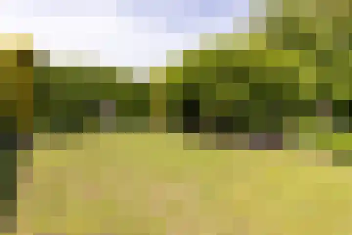 Baandert 2 Sittard thumbnail 30