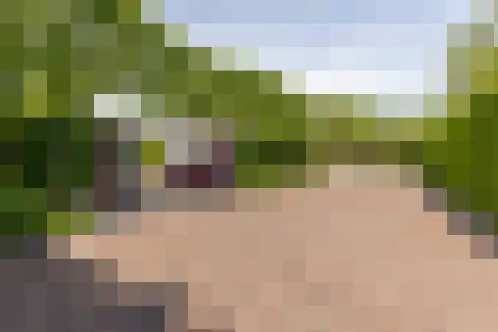 Baandert 2 Sittard thumbnail 33