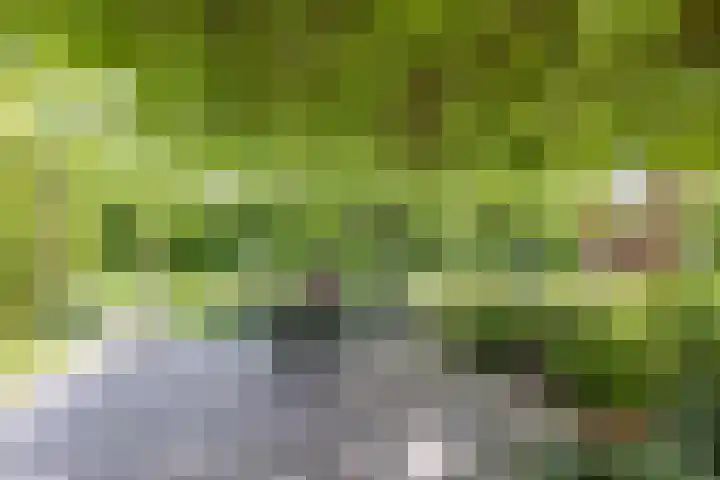 Baandert 2 Sittard thumbnail 37