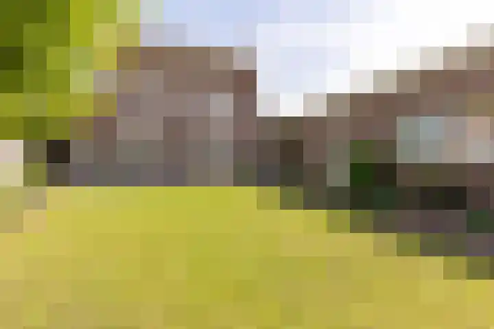 Baandert 2 Sittard thumbnail 38