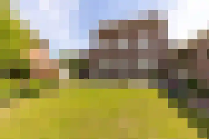 Baandert 2 Sittard thumbnail 39