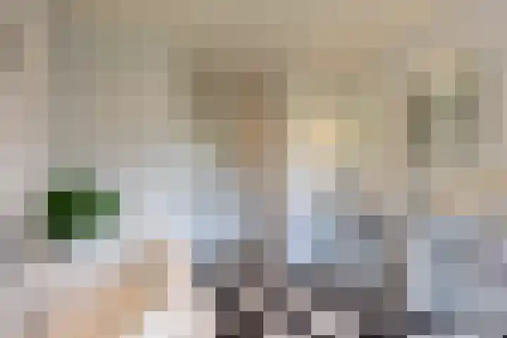 Baandert 2 Sittard thumbnail 49