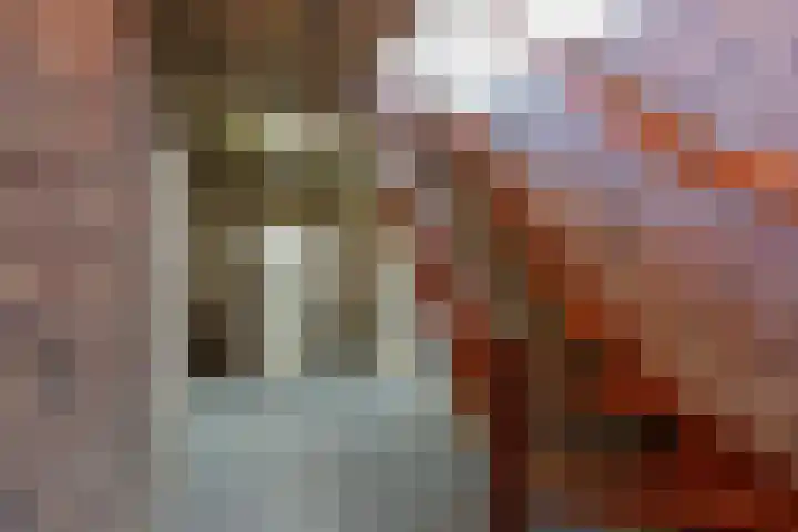 Baandert 2 Sittard thumbnail 57
