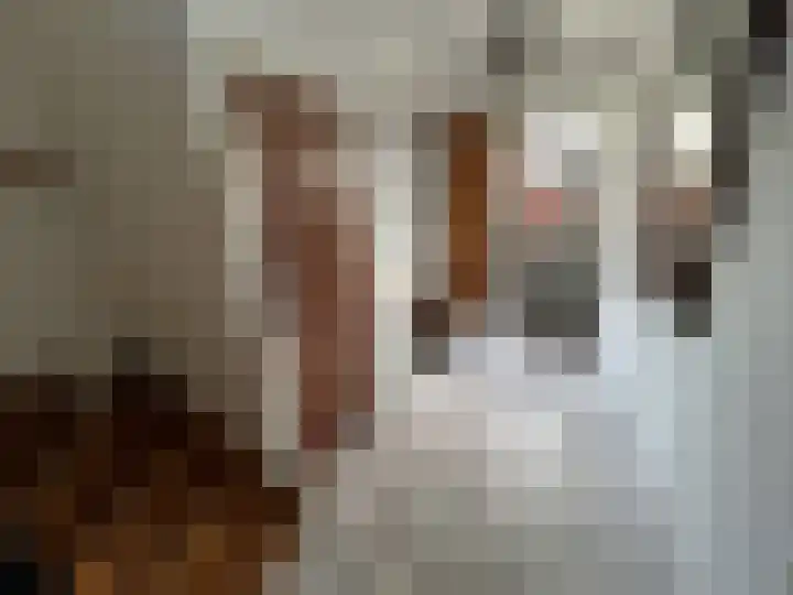 Baandert 65 Sittard thumbnail 11