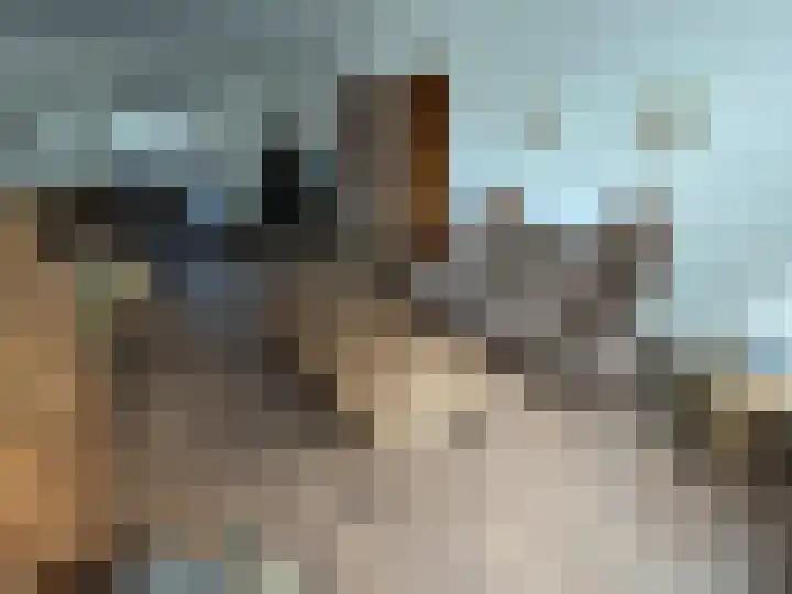 Baandert 65 Sittard thumbnail 13