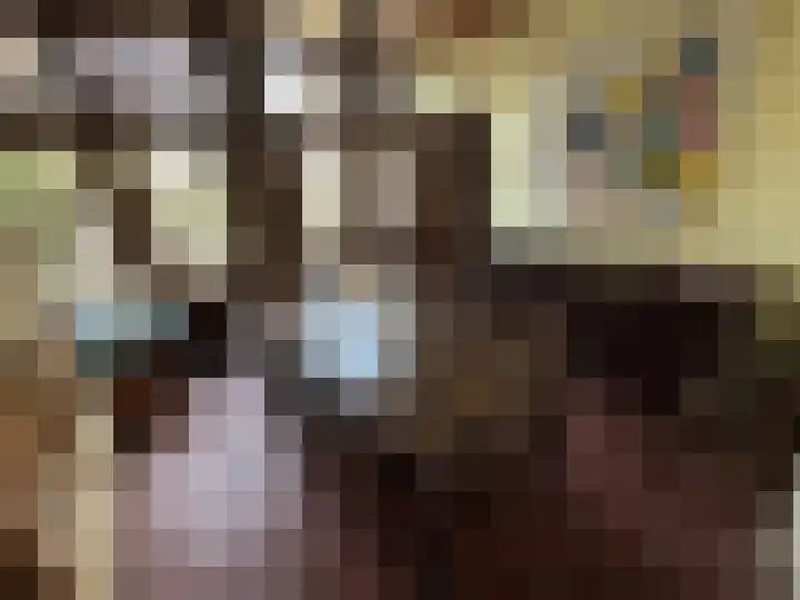 Baandert 65 Sittard thumbnail 18
