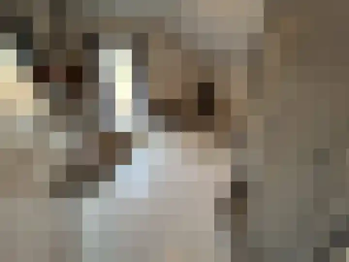 Baandert 65 Sittard thumbnail 32