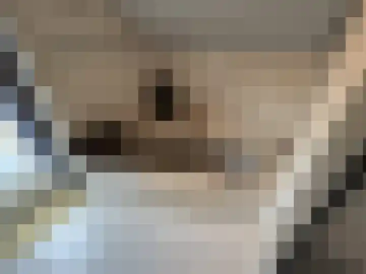 Baandert 65 Sittard thumbnail 33
