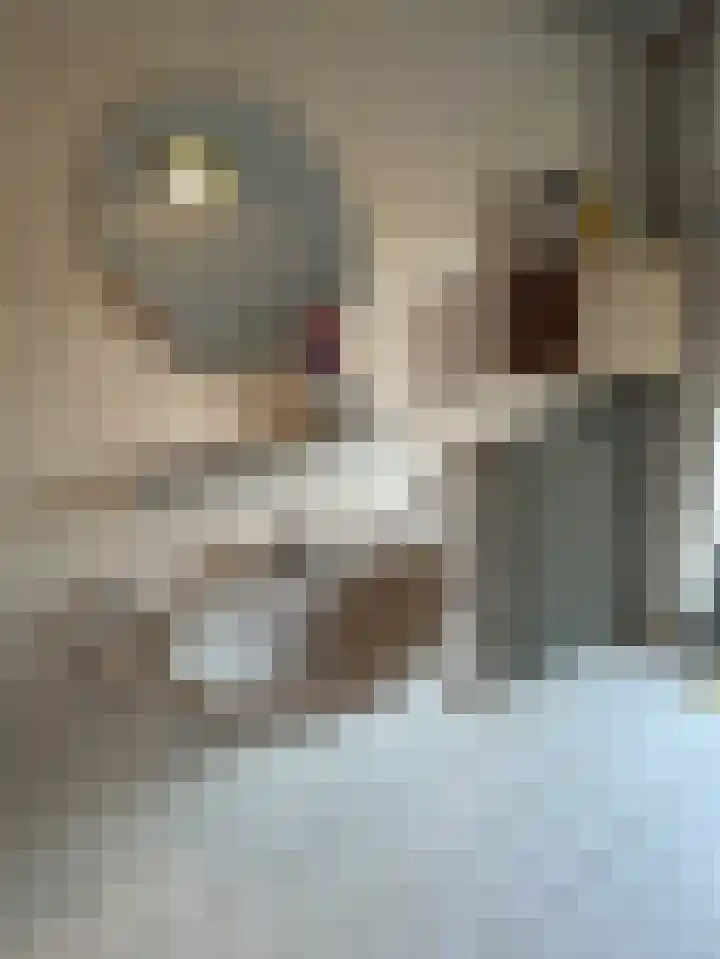 Baandert 65 Sittard thumbnail 35